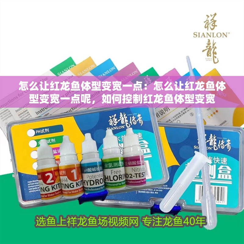 怎么讓紅龍魚體型變寬一點：怎么讓紅龍魚體型變寬一點呢，如何控制紅龍魚體型變寬