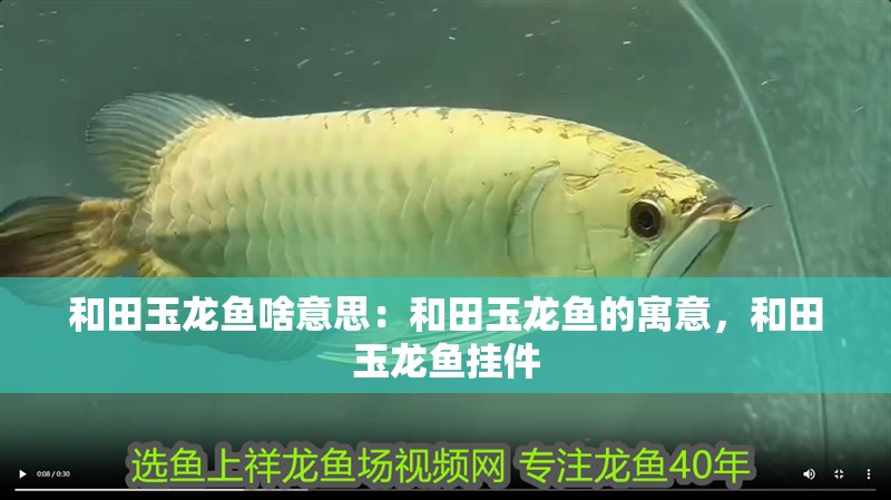 和田玉龍魚啥意思：和田玉龍魚的寓意，和田玉龍魚掛件