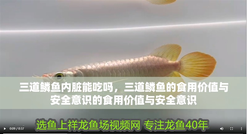 三道鱗魚內臟能吃嗎，三道鱗魚的食用價值與安全意識的食用價值與安全意識 三道鱗魚內臟能吃嗎，三道鱗魚的食用價值與安全意識的食用價值與安全意識 龍魚論壇