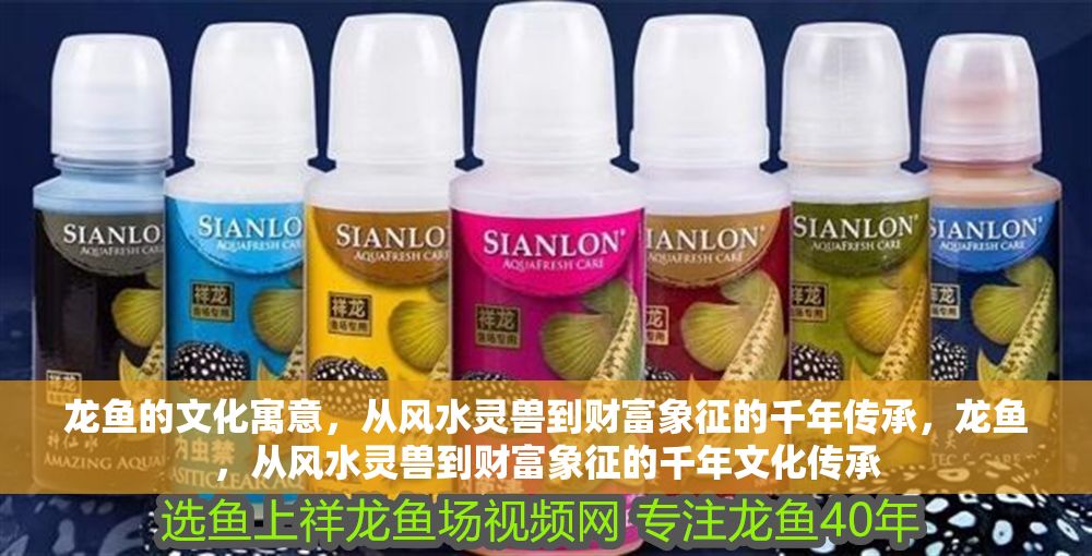 詳細(xì)閱讀:龍魚的文化寓意,從風(fēng)水靈獸到財(cái)富象征的千年傳承,龍魚,從風(fēng)水靈獸到財(cái)富象征的千年文化傳承 龍魚的文化寓意,從風(fēng)水靈獸到財(cái)富象征的千年傳承,龍魚,從風(fēng)水靈獸到財(cái)富象征的千年文化傳承