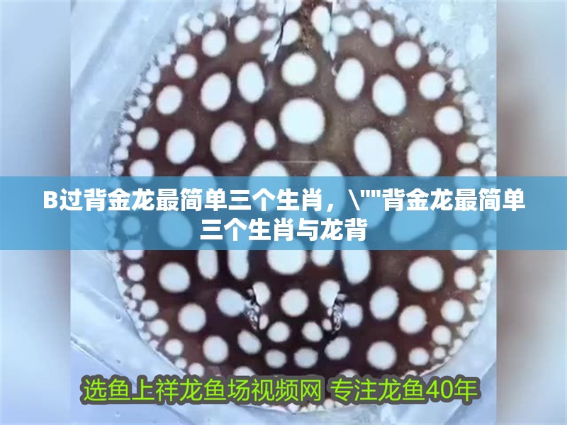 B過背金龍最簡單三個生肖，\