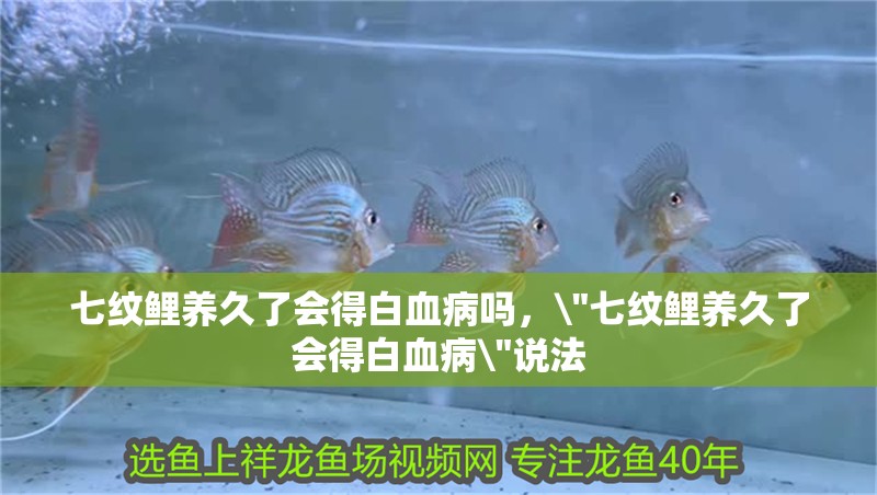 七紋鯉養久了會得白血病嗎，\
