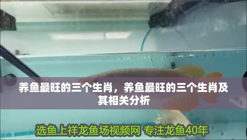 養(yǎng)魚最旺的三個(gè)生肖，養(yǎng)魚最旺的三個(gè)生肖及其相關(guān)分析 養(yǎng)魚最旺的三個(gè)生肖，養(yǎng)魚最旺的三個(gè)生肖及其相關(guān)分析 龍魚論壇