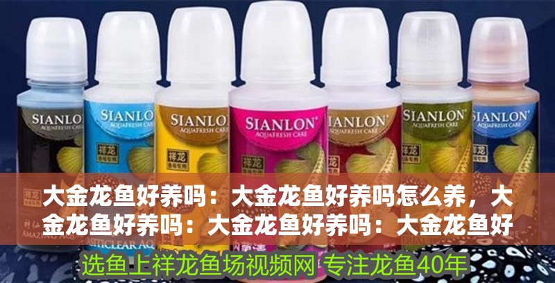 大金龍魚(yú)好養(yǎng)嗎：大金龍魚(yú)好養(yǎng)嗎怎么養(yǎng)，大金龍魚(yú)好養(yǎng)嗎：大金龍魚(yú)好養(yǎng)嗎：大金龍魚(yú)好養(yǎng)嗎