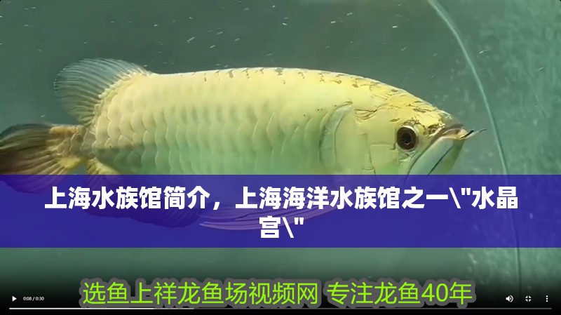 上海水族館簡介，上海海洋水族館之一 上海水族館簡介，上海海洋水族館之一\