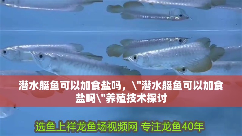 潛水艇魚可以加食鹽嗎，\