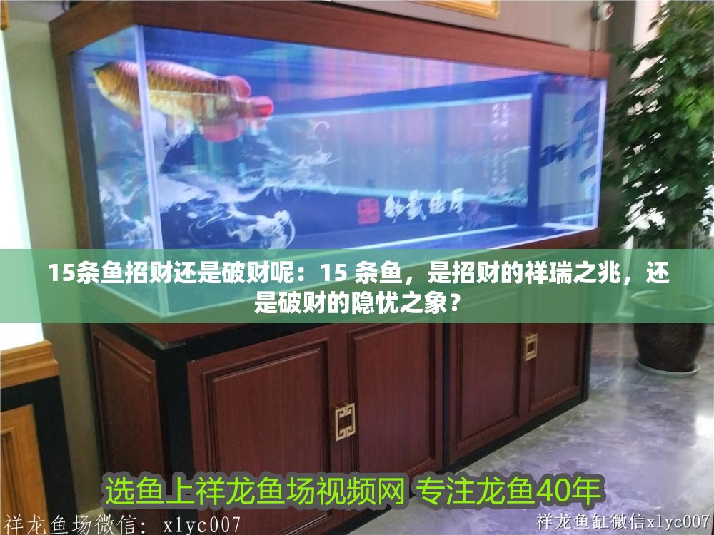 詳細閱讀:15條魚招財還是破財呢:15 條魚,是招財的祥瑞之兆,還是破財的隱憂之象? 15條魚招財還是破財呢:15 條魚,是招財的祥瑞之兆,還是破財的隱憂之象?