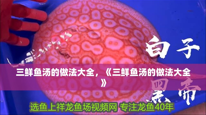 三鮮魚湯的做法大全，《三鮮魚湯的做法大全》