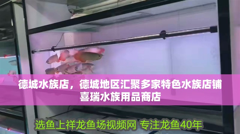 德城水族店，德城地區匯聚多家特色水族店鋪喜瑞水族用品商店