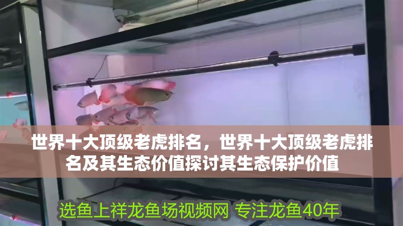 世界十大頂級老虎排名，世界十大頂級老虎排名及其生態價值探討其生態保護價值 世界十大頂級老虎排名，世界十大頂級老虎排名及其生態價值探討其生態保護價值 龍魚論壇