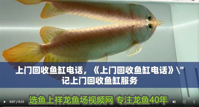 上門回收魚缸電話，《上門回收魚缸電話》\