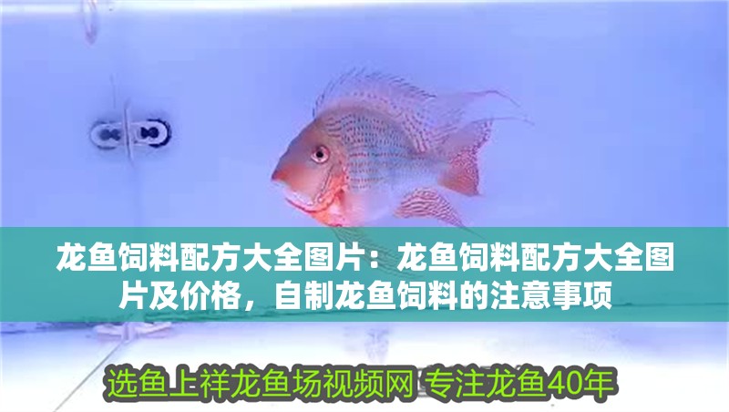 龍魚飼料配方大全圖片：龍魚飼料配方大全圖片及價(jià)格，自制龍魚飼料的注意事項(xiàng)