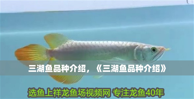 三湖魚品種介紹，《三湖魚品種介紹》