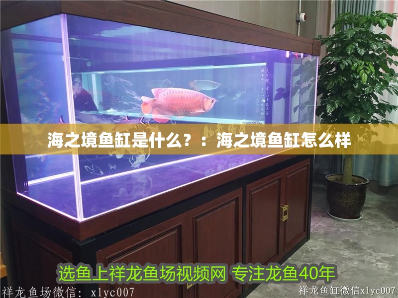 海之境魚缸是什么？：海之境魚缸怎么樣