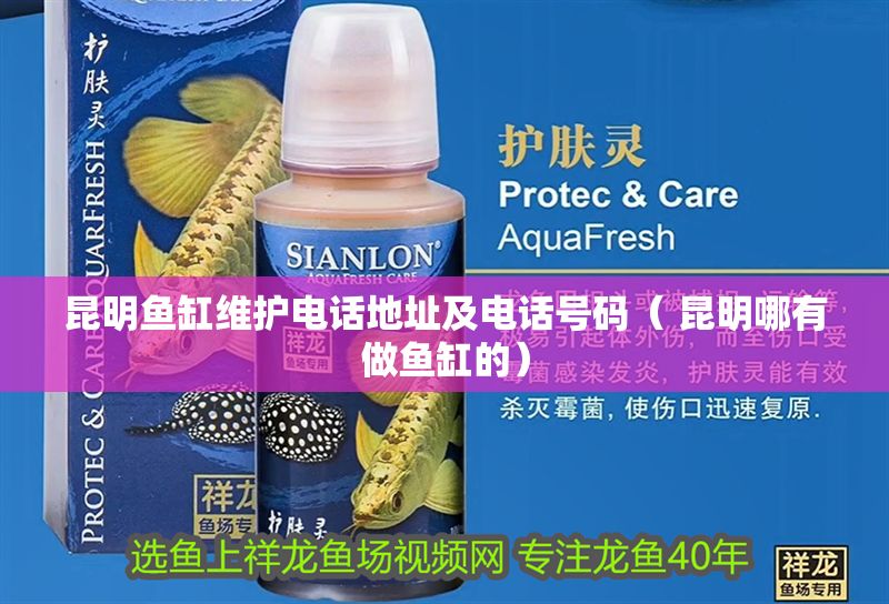 昆明魚缸維護電話地址及電話號碼（ 昆明哪有做魚缸的）