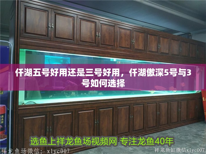 仟湖五號好用還是三號好用，仟湖傲深5號與3號如何選擇