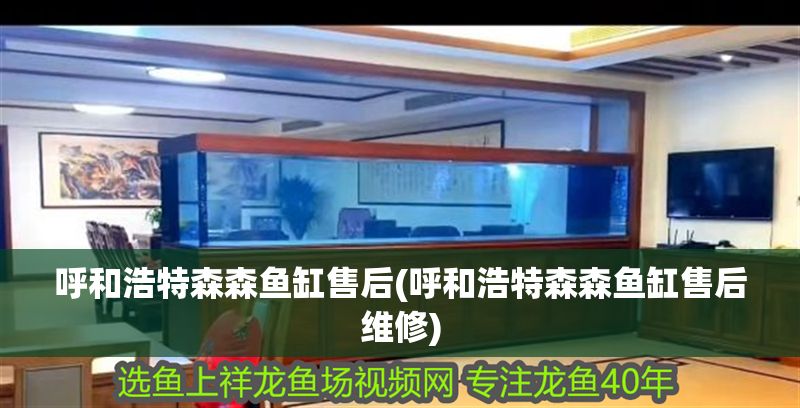 呼和浩特森森魚缸售后(呼和浩特森森魚缸售后維修)