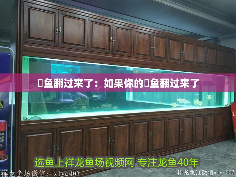 魟魚翻過來了：如果你的魟魚翻過來了