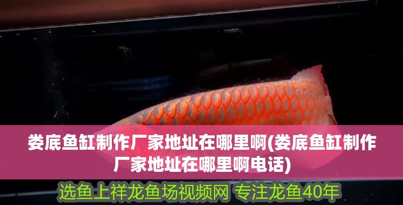 婁底魚缸制作廠家地址在哪里啊(婁底魚缸制作廠家地址在哪里啊電話)