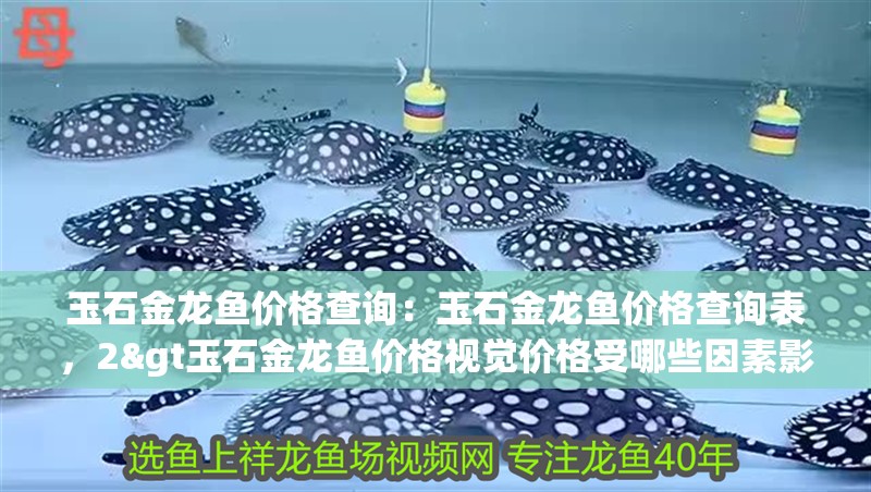 玉石金龍魚價格查詢：玉石金龍魚價格查詢表，2&gt玉石金龍魚價格視覺價格受哪些因素影響