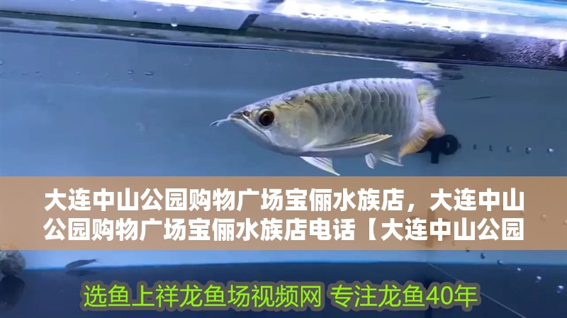 大連中山公園購(gòu)物廣場(chǎng)寶儷水族店，大連中山公園購(gòu)物廣場(chǎng)寶儷水族店電話【大連中山公園購(gòu)物廣場(chǎng)寶儷水族寵物廣場(chǎng)寶儷水族店】