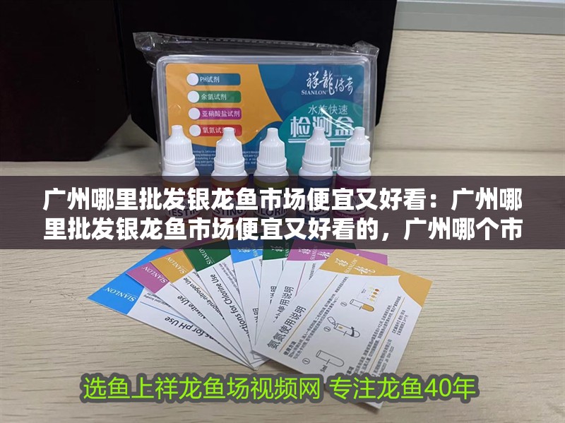 廣州哪里批發銀龍魚市場便宜又好看：廣州哪里批發銀龍魚市場便宜又好看的，廣州哪個市場批發銀龍魚好？