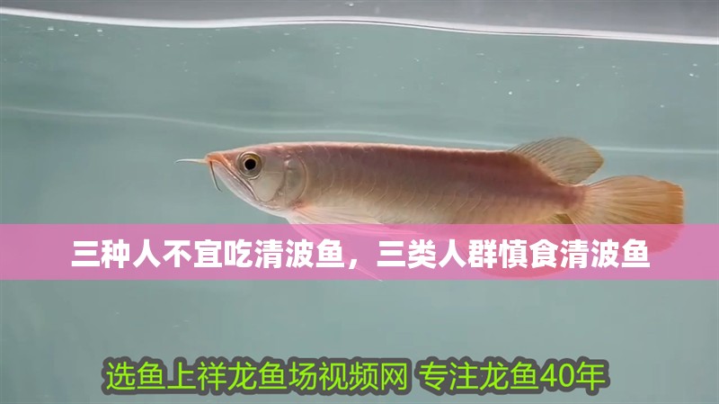 三種人不宜吃清波魚，三類人群慎食清波魚