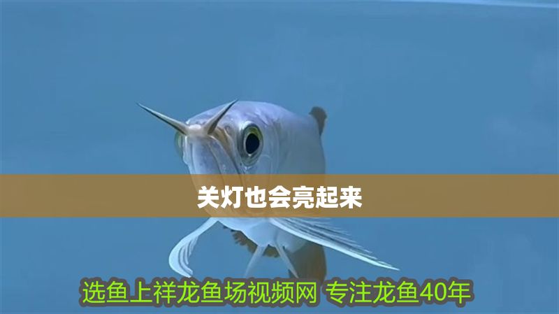 關(guān)燈也會(huì)亮起來(lái)