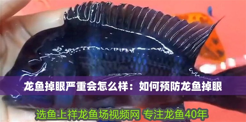 龍魚掉眼嚴重會怎么樣：如何預防龍魚掉眼