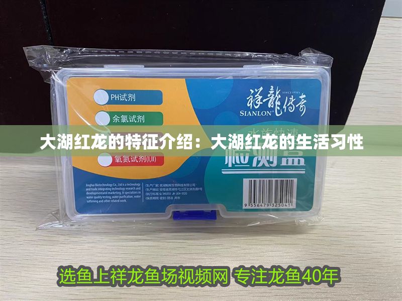 大湖紅龍的特征介紹：大湖紅龍的生活習性