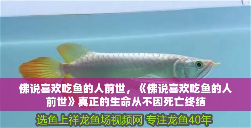 佛說喜歡吃魚的人前世，《佛說喜歡吃魚的人前世》真正的生命從不因死亡終結(jié)