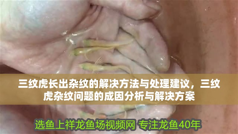 三紋虎長出雜紋的解決方法與處理建議，三紋虎雜紋問題的成因分析與解決方案