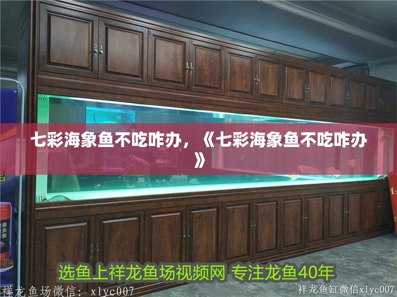 七彩海象魚不吃咋辦，《七彩海象魚不吃咋辦》