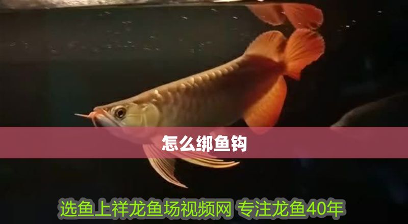 怎么綁魚鉤