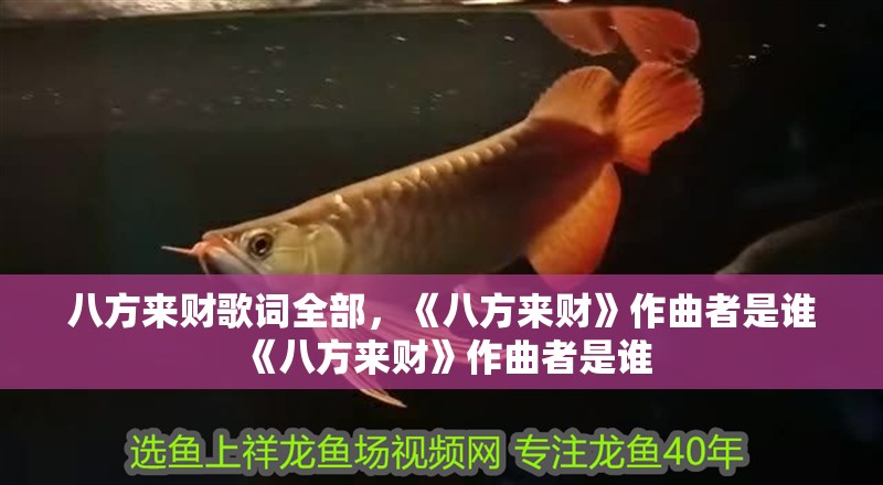 八方來財歌詞全部，《八方來財》作曲者是誰《八方來財》作曲者是誰
