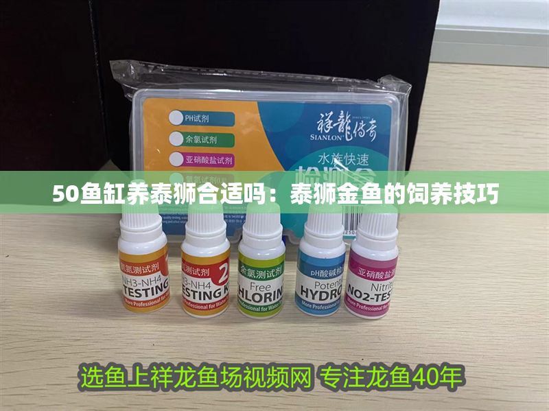 50魚缸養泰獅合適嗎：泰獅金魚的飼養技巧