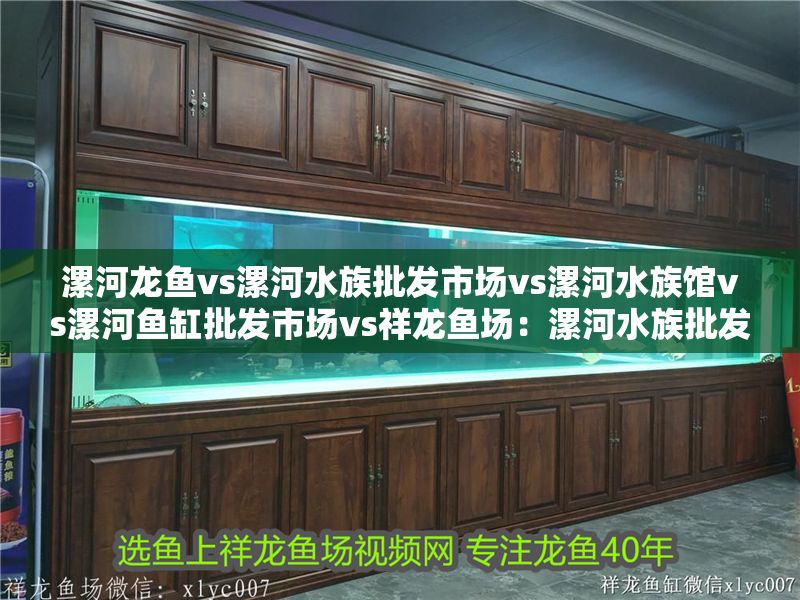 漯河龍魚vs漯河水族批發市場vs漯河水族館vs漯河魚缸批發市場vs祥龍魚場：漯河水族批發市場