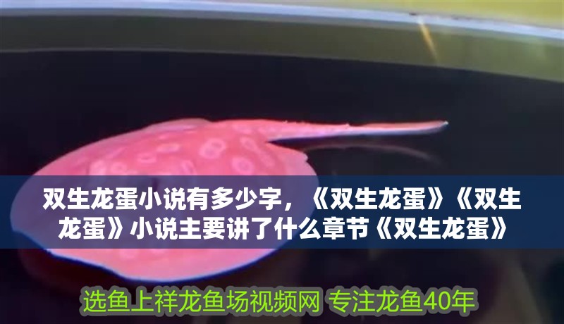 雙生龍蛋小說有多少字，《雙生龍蛋》《雙生龍蛋》小說主要講了什么章節《雙生龍蛋》