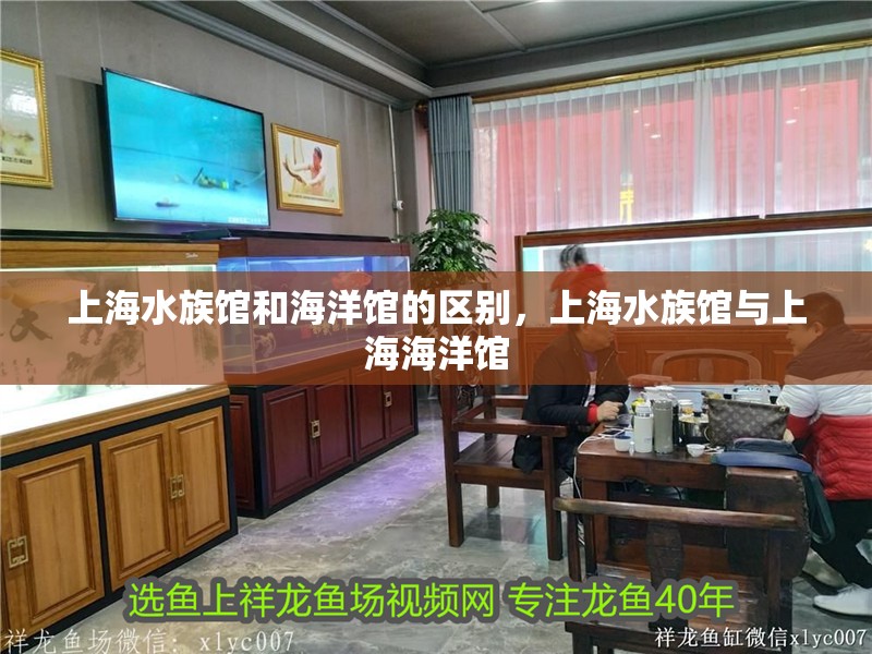 上海水族館和海洋館的區別，上海水族館與上海海洋館