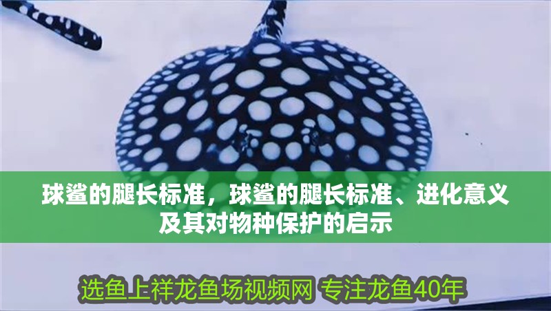 球鯊的腿長標準，球鯊的腿長標準、進化意義及其對物種保護的啟示