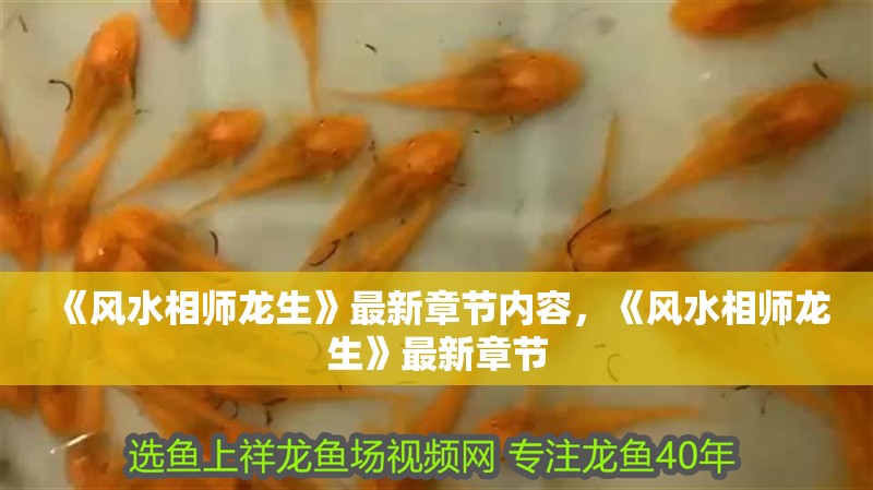 《風水相師龍生》最新章節內容，《風水相師龍生》最新章節