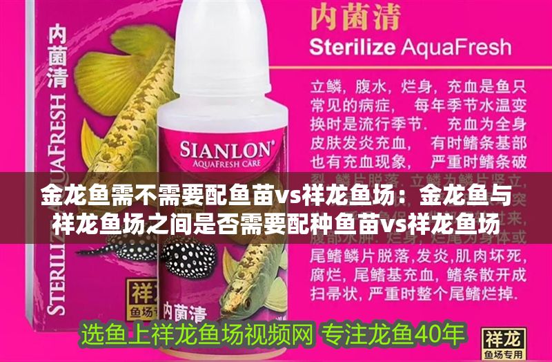 金龍魚需不需要配魚苗vs祥龍魚場：金龍魚與祥龍魚場之間是否需要配種魚苗vs祥龍魚場