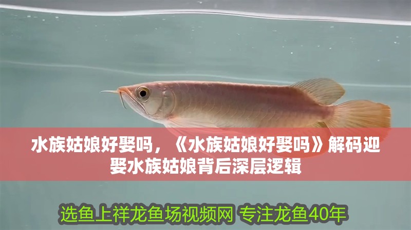 水族姑娘好娶嗎，《水族姑娘好娶嗎》解碼迎娶水族姑娘背后深層邏輯