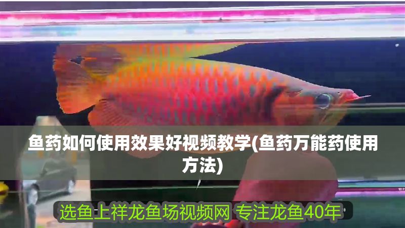 魚藥如何使用效果好視頻教學(xué)(魚藥萬能藥使用方法)