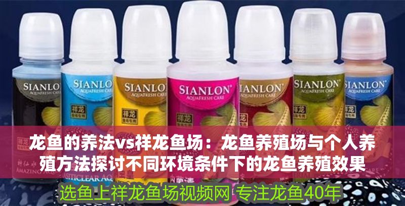 龍魚的養法vs祥龍魚場：龍魚養殖場與個人養殖方法探討不同環境條件下的龍魚養殖效果