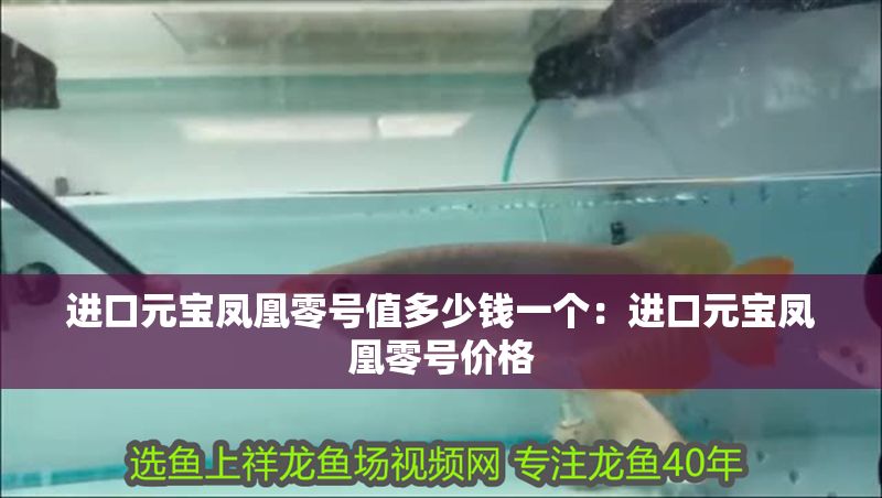 進口元寶鳳凰零號值多少錢一個：進口元寶鳳凰零號價格