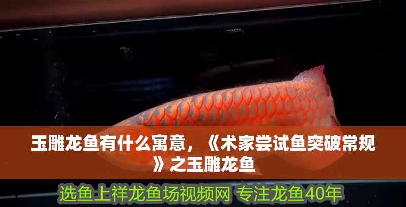 玉雕龍魚有什么寓意，《術家嘗試魚突破常規》之玉雕龍魚