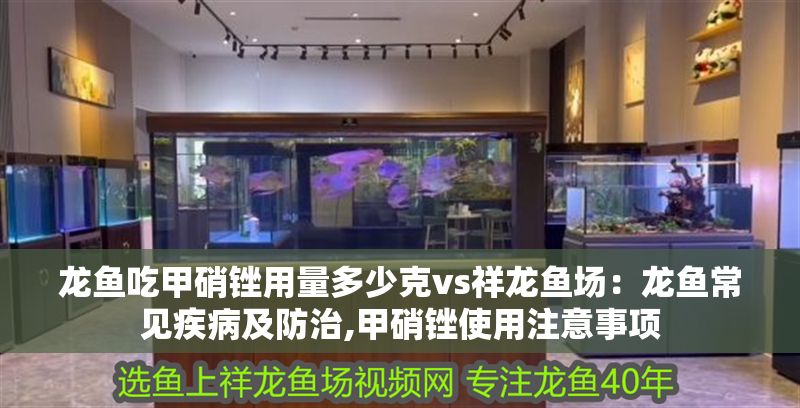 龍魚吃甲硝銼用量多少克vs祥龍魚場:龍魚常見疾病及防治,甲硝銼使用注意事項 vs祥龍魚場 第1張 龍魚吃甲硝銼用量多少克vs祥龍魚場:龍魚常見疾病及防治,甲硝銼使用注意事項 龍魚吃甲硝銼用量多少克vs祥龍魚場:龍魚常見疾病及防治,甲硝銼使用注意事項 vs祥龍魚場 第1張