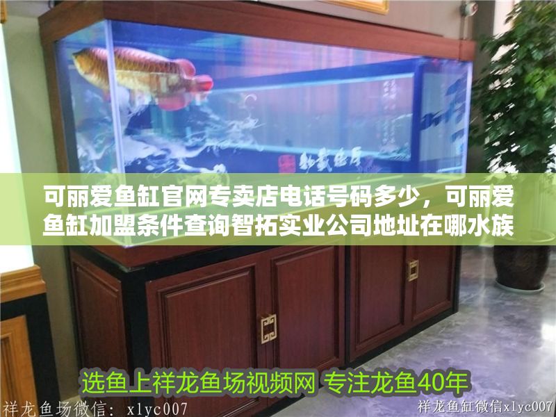 可麗愛魚缸官網(wǎng)專賣店電話號(hào)碼多少，可麗愛魚缸加盟條件查詢智拓實(shí)業(yè)公司地址在哪水族論壇可麗愛魚缸討論