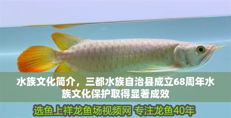 水族文化簡介，三都水族自治縣成立68周年水族文化保護(hù)取得顯著成效